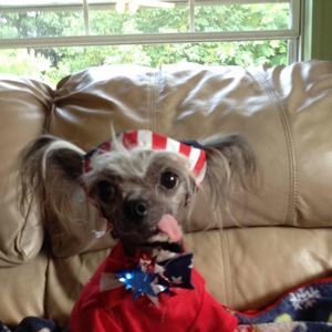 Meet your Posher, Sandy